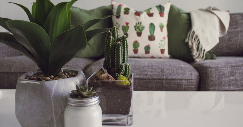 Decor - Photo of Plants on the Table