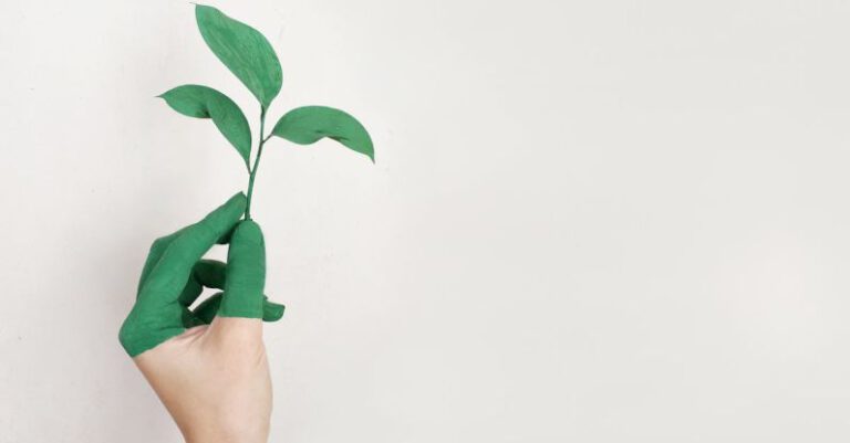 Eco-Friendly - Person's Left Hand Holding Green Leaf Plant