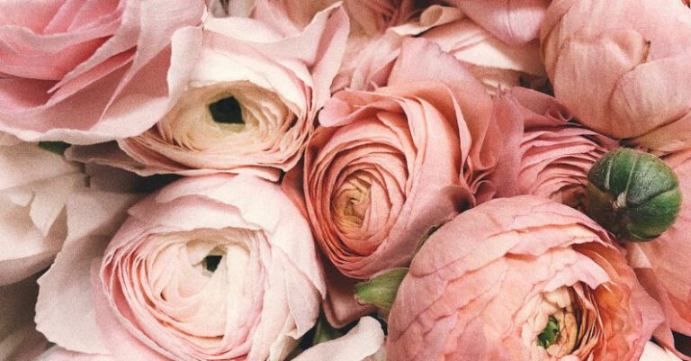 Elegant - Close-up Photograph of Flowers